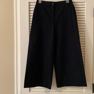 Ann Taylor wide leg pant.